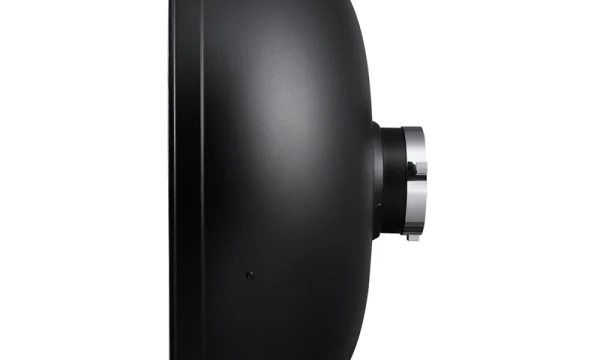 Silver beauty Dish 1