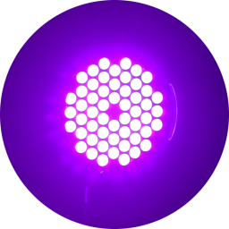 Ultraviolet lamp