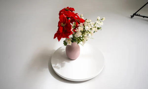 Вращающийся Круг 2