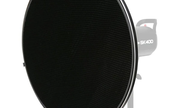 Silver beauty Dish 2